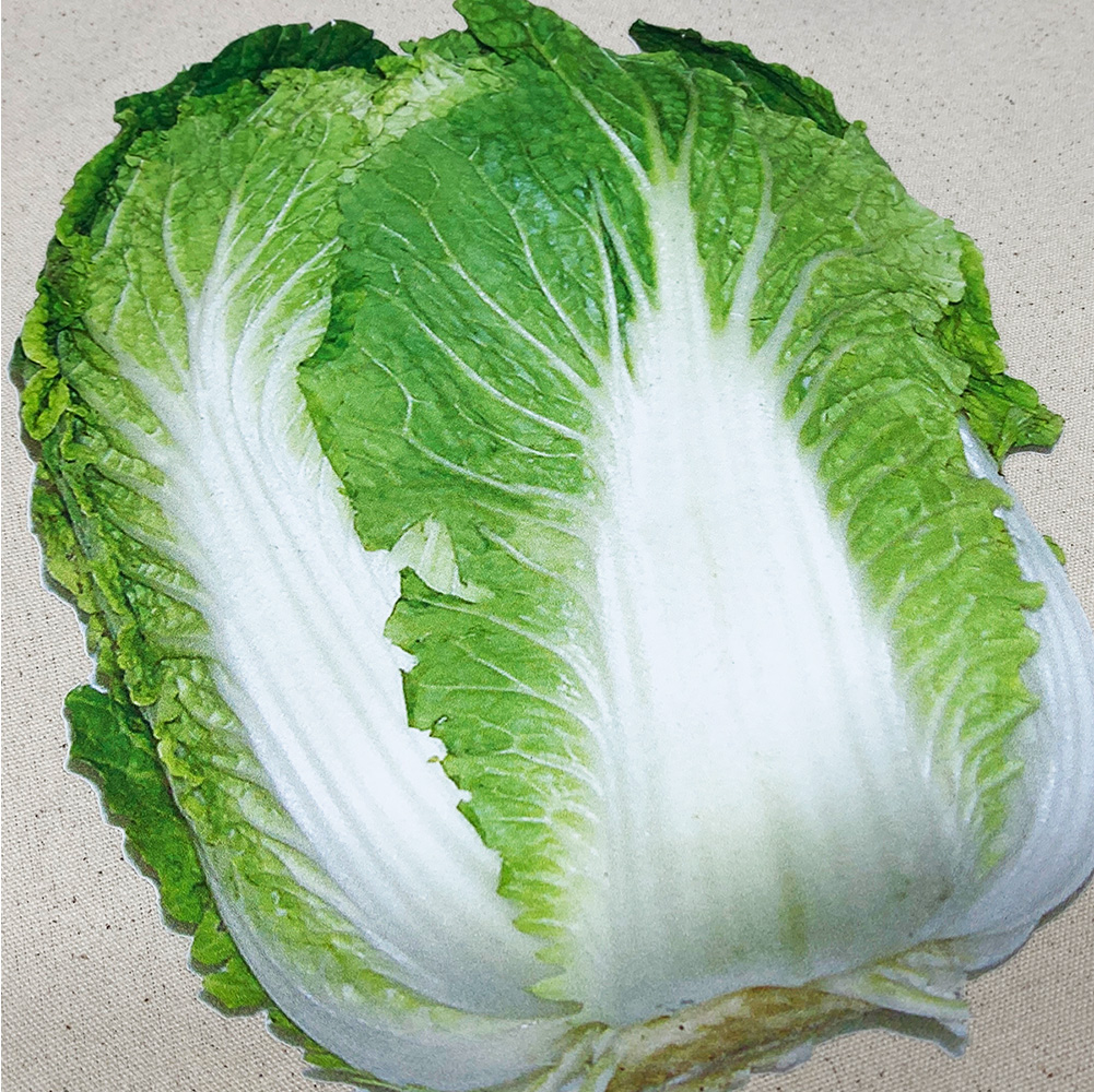 白菜 トートバッグ